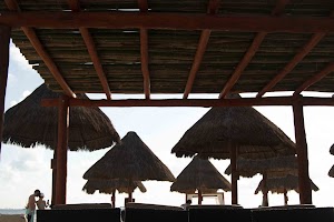 IMG_1588.jpg
