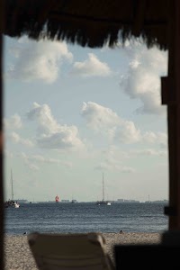 IMG_1602.jpg