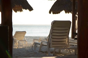 IMG_1625.jpg