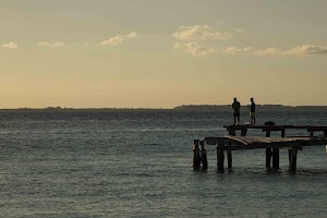 IMG_1645.jpg