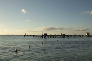 IMG_1648.jpg