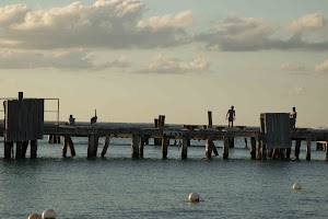 IMG_1651.jpg