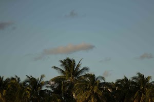 IMG_1676.jpg
