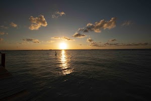 IMG_1695.jpg