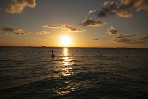 IMG_1709.jpg