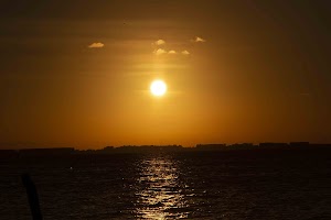 IMG_1750.jpg