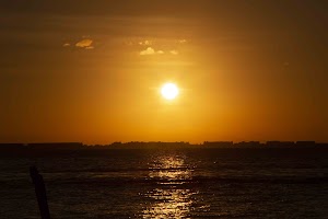 IMG_1786.jpg
