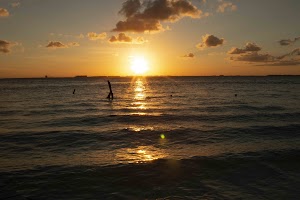 IMG_1802.jpg
