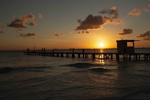 IMG_1815.jpg