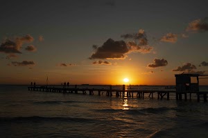 IMG_1820.jpg