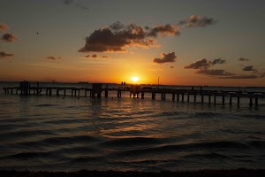 IMG_1845.jpg