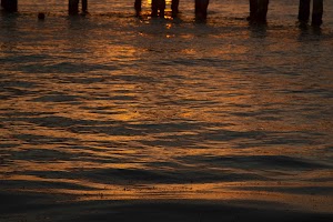 IMG_1860.jpg