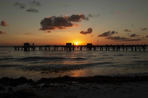 IMG_1908.jpg