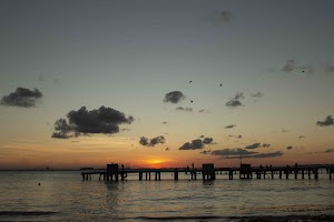 IMG_1929.jpg