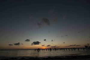 IMG_1937.jpg