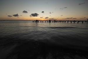 IMG_1948.jpg