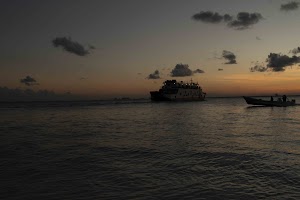 IMG_1981.jpg