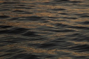 IMG_1997.jpg