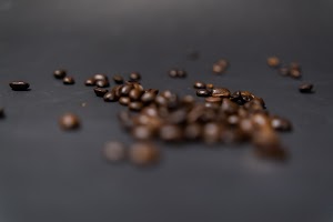 _DSF3708.jpg