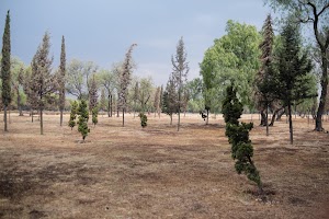 _DSF4118.jpg