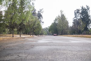 _DSF4121.jpg