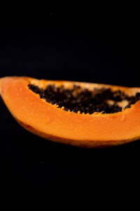 _DSF4176.jpg