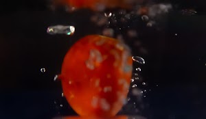 _DSF4889.jpg