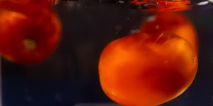 _DSF4907.jpg