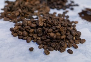 _DSF5594.jpg