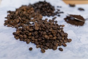 _DSF5595.jpg