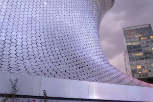 _DSF8196.jpg
