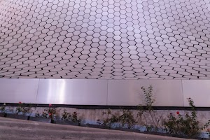 _DSF8197.jpg