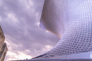 _DSF8214.jpg