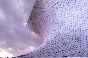 _DSF8218.jpg