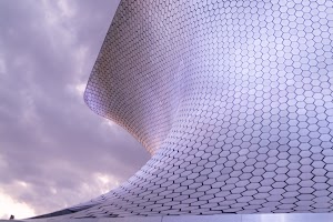 _DSF8219.jpg