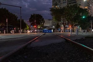 _DSF8231.jpg