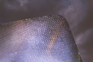 _DSF8235.jpg