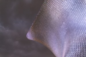 _DSF8242.jpg
