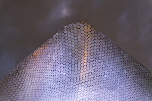 _DSF8254.jpg