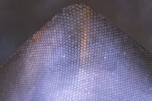 _DSF8255.jpg