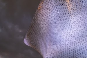 _DSF8256.jpg
