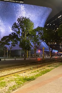 _DSF8266.jpg