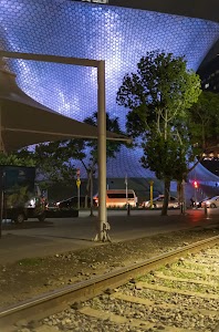 _DSF8270.jpg