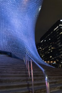 _DSF8273.jpg