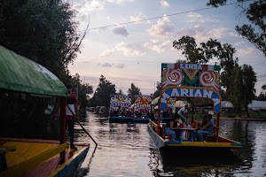 _DSF8587.jpg