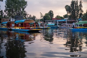 _DSF8666.jpg
