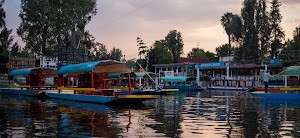 _DSF8667.jpg