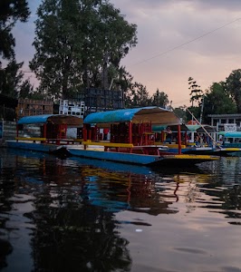 _DSF8668.jpg