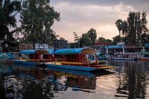 _DSF8674.jpg