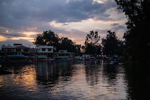 _DSF8677.jpg